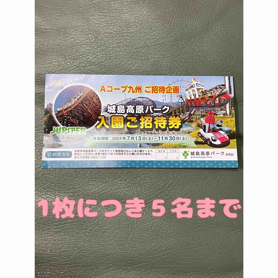 城島高原パーク入園ご招待券 5名まで チケットの施設利用券(遊園地/テーマパーク)の商品写真