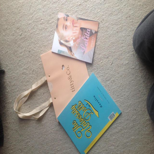 titty&co(ティティアンドコー)のtittyショップ袋♥︎ダズリンカタログ レディースのバッグ(ショップ袋)の商品写真