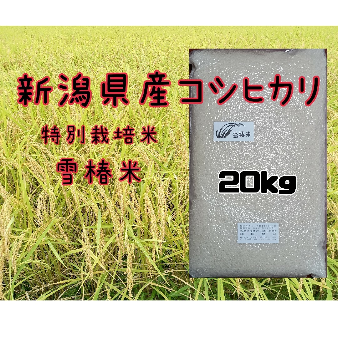 特栽栽培米新潟県産コシヒカリ20k 特栽栽培米新潟県産コシヒカリ20k