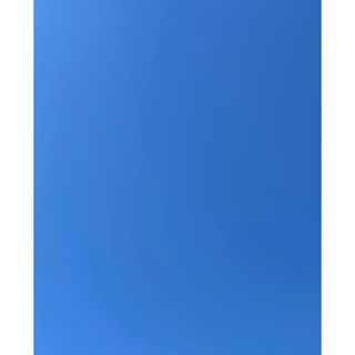 シシクイ40(その他)