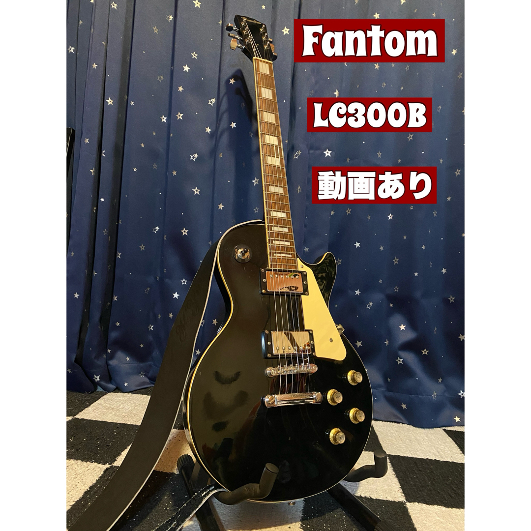 Fantom LC300B (改造) マツモク製 Fantom LC300B (改造) マツモク製