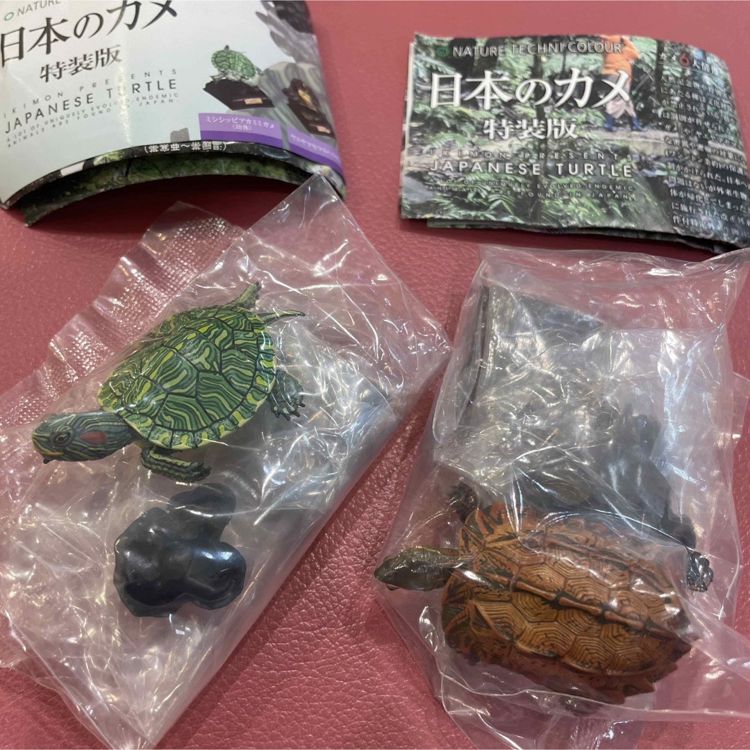 ネイチャーテクニカラー 日本のカメ 特装版 引き落とさ ネイチャーテクニカラー 日本のカメ 特装版 引き落とさ