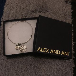 アーバンリサーチ(URBAN RESEARCH)のR☆様専用 ALEX AND ANI チャームブレス(ブレスレット/バングル)