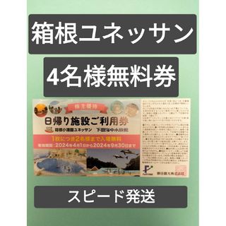 箱根ユネッサン【4名様分パスポート】(遊園地/テーマパーク)