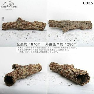 c036【ポルトガル産】 コルク樹皮 キャノン コルク バージン c036【ポルトガル産】 コルク樹皮 キャノン コルク バージン