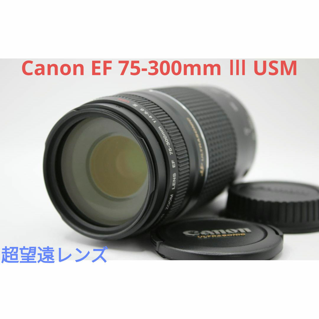 7月30日限定価格【超望遠レンズ】Canon EF 75-300mm Ⅲ USM 7月30日限定価格【超望遠レンズ】Canon EF 75-300mm Ⅲ USM