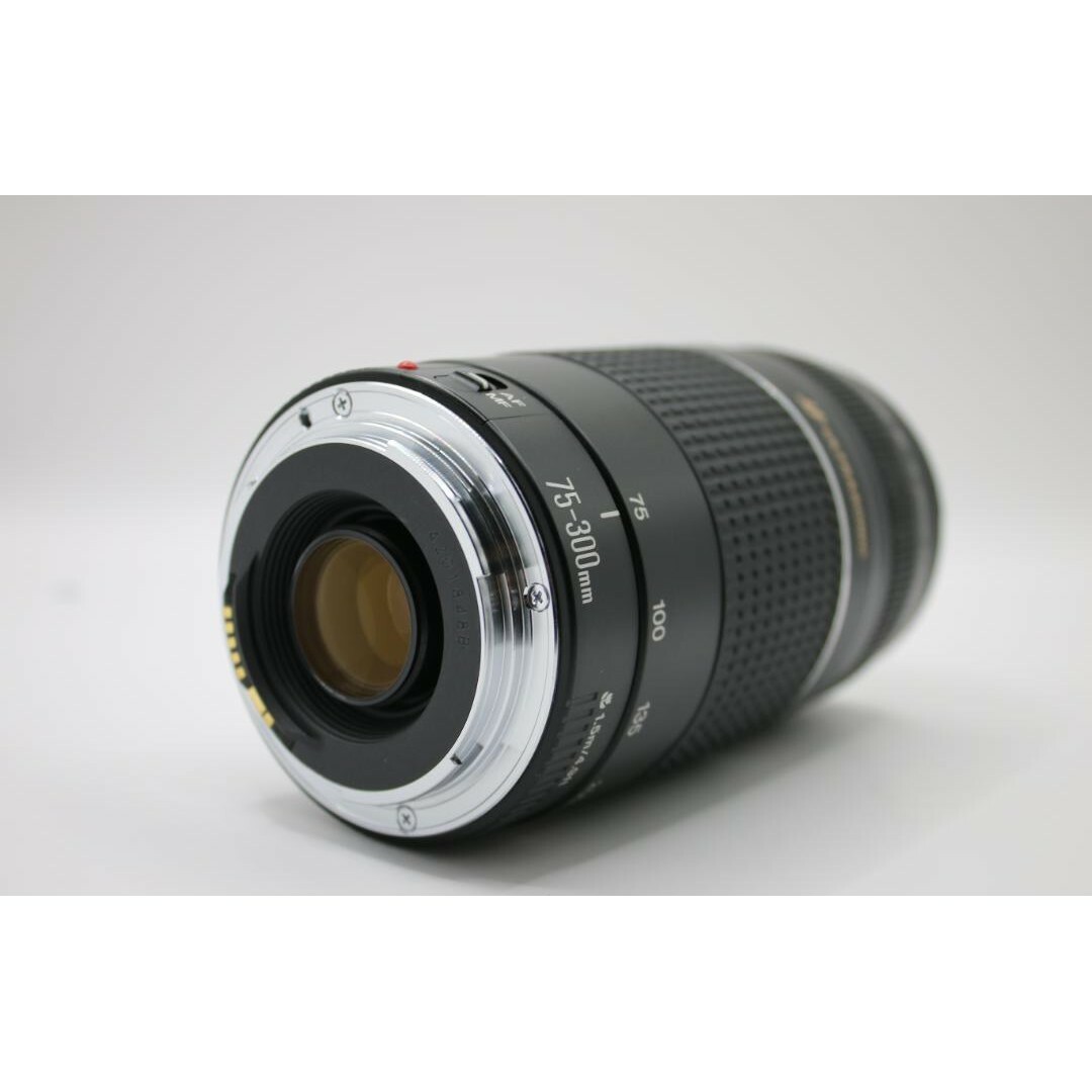 7月30日限定価格【超望遠レンズ】Canon EF 75-300mm Ⅲ USM 7月30日限定価格【超望遠レンズ】Canon EF 75-300mm Ⅲ USM