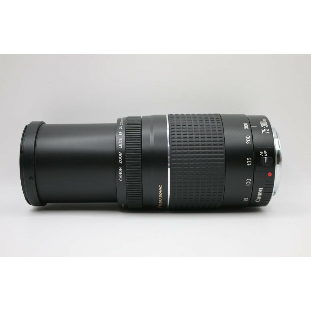 7月30日限定価格【超望遠レンズ】Canon EF 75-300mm Ⅲ USM 7月30日限定価格【超望遠レンズ】Canon EF 75-300mm Ⅲ USM