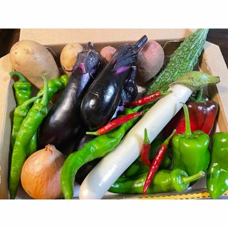 野菜セット30-③農薬不使用　配送先地域限定(野菜)