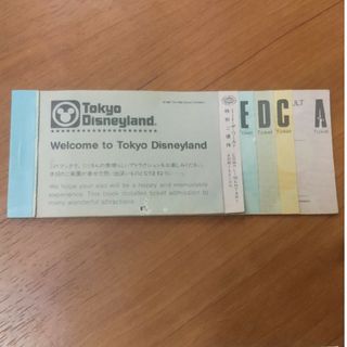 ディズニー(Disney)の東京ディズニーランド ビッグ10チケットブック一冊 使用済み(遊園地/テーマパーク)