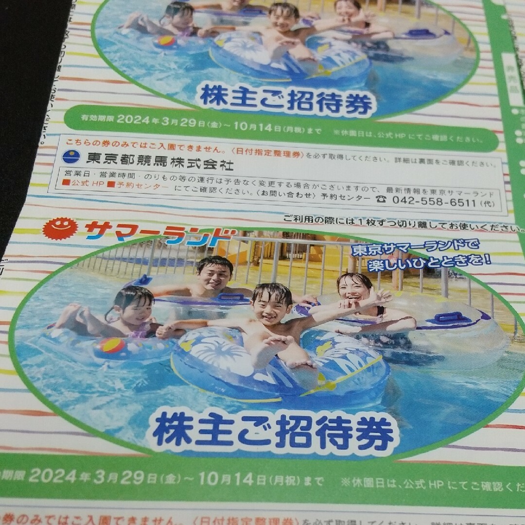 サマーランド 株主優待 3枚 サマーランド 株主優待 3枚