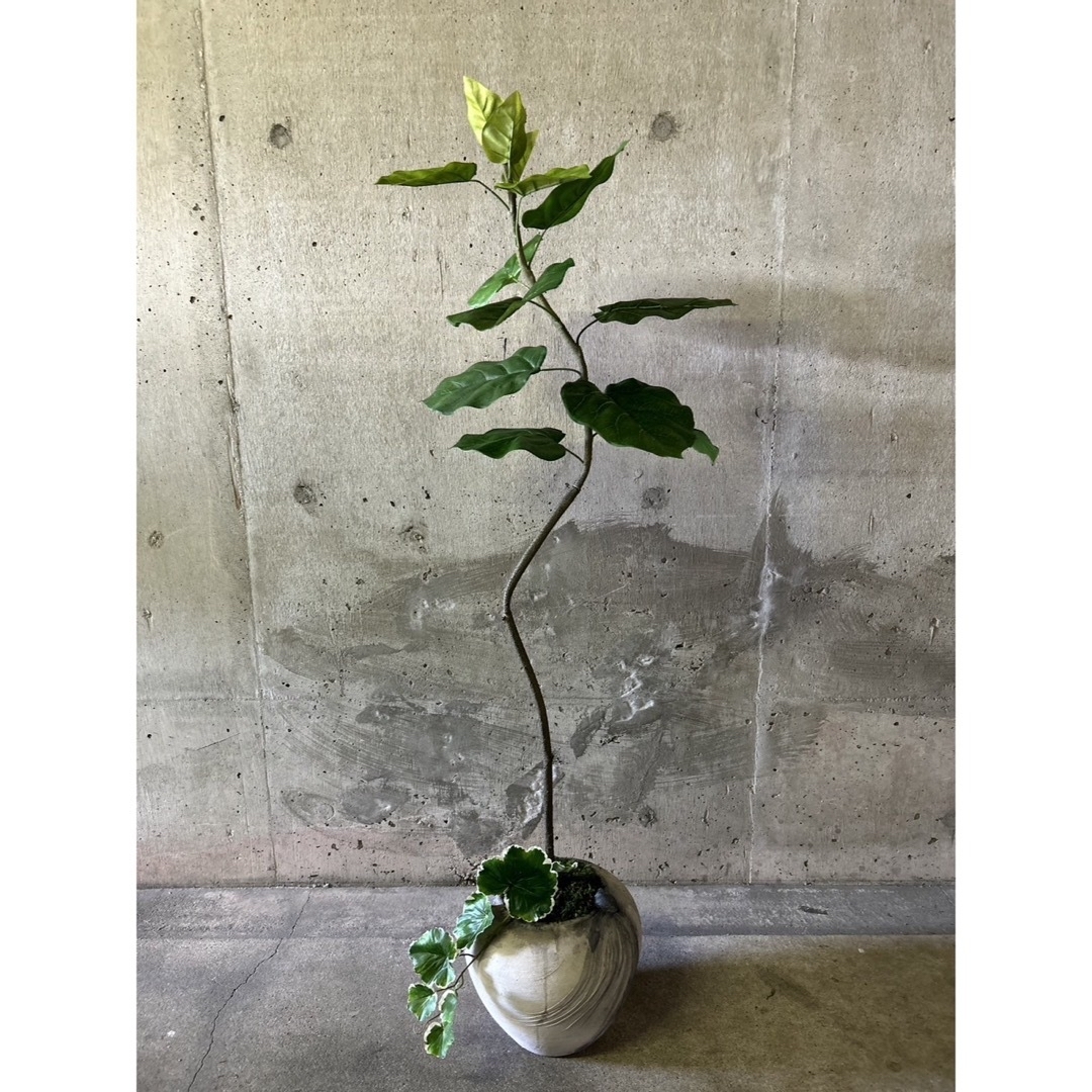 光触媒 人工観葉植物 ウォールグリーン フェイクグリーン 光触媒 人工観葉植物 ウォールグリーン フェイクグリーン