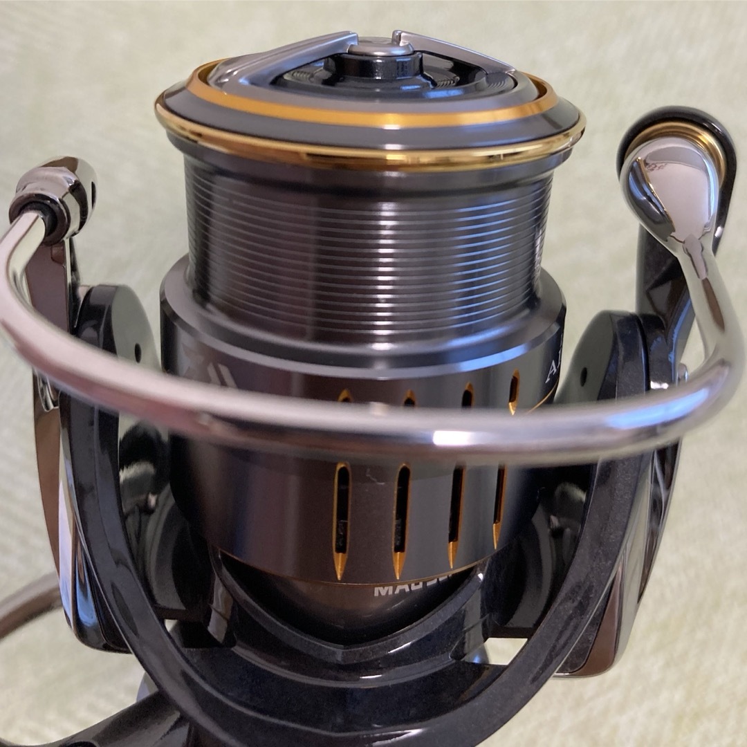 Amazon.com : Daiwa 21 LUVIAS AIRITY FC LT1000S-P : Sports