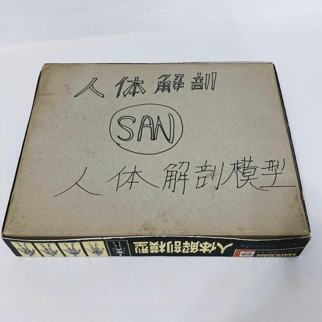 マルサン - 希少物 旧マルサン 人体解剖模型 未組立 当時物の マルサン - 希少物 旧マルサン 人体解剖模型 未組立 当時物の