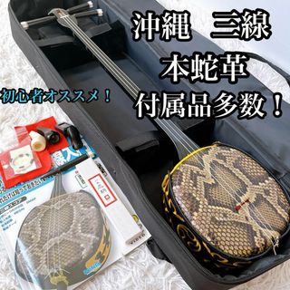 三線 沖縄 さんしん 本皮 本革 本蛇皮 築き上げ 三線 沖縄 さんしん 本皮 本革 本蛇皮 築き上げ