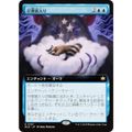 【拡張アート版】マジックザギャザリング BLB JP 0357 仔狸寝入り (日本語版 レア) ブルームバロウ (MTG)