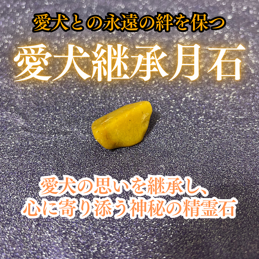 愛犬継承月石| 愛犬の思いを継承し心に寄り添う霊石｜パワーストーン｜お守り｜開運
