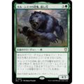 マジックザギャザリング BLC JP 0222 カル・シスマの恐怖、殺し爪 (日本語版 レア) ブルームバロウ 統率者 (MTG)