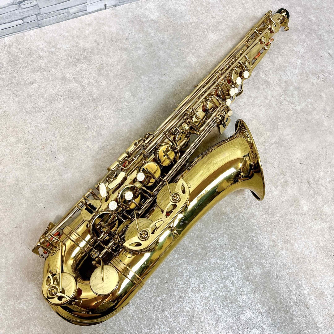 Kaerntner テナーサックス 管楽器 ハードケース付属 初心者用 Kaerntner テナーサックス 管楽器 ハードケース付属 初心者用