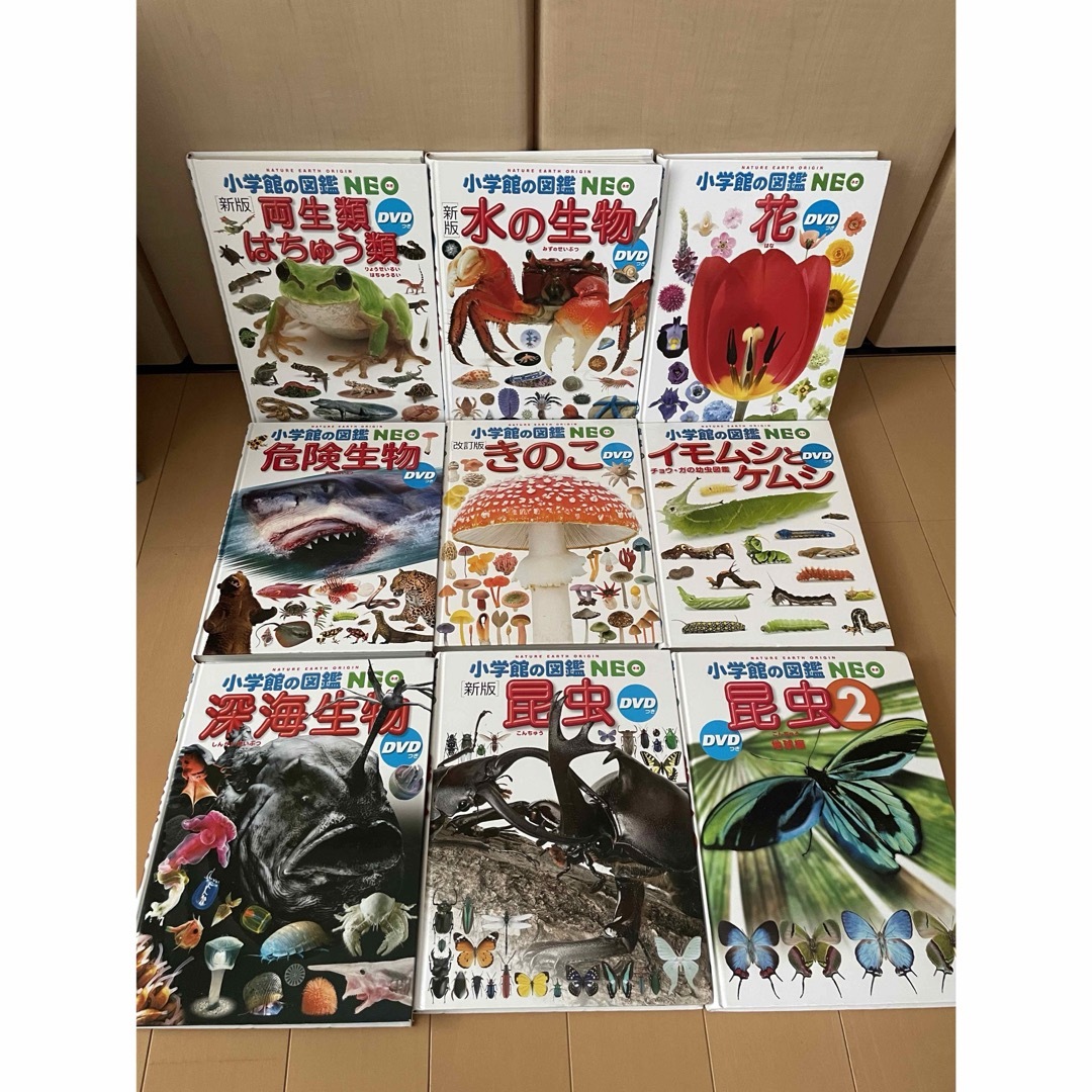 ン 大人気 新品 ノ 小学館の図鑑NEO DVDなし 10冊セット 図鑑 新版 図鑑