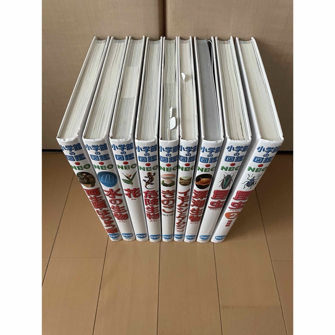 【年中無休】 新版 小学館の図鑑NEO 図鑑 DVDなし 10冊セット 図鑑