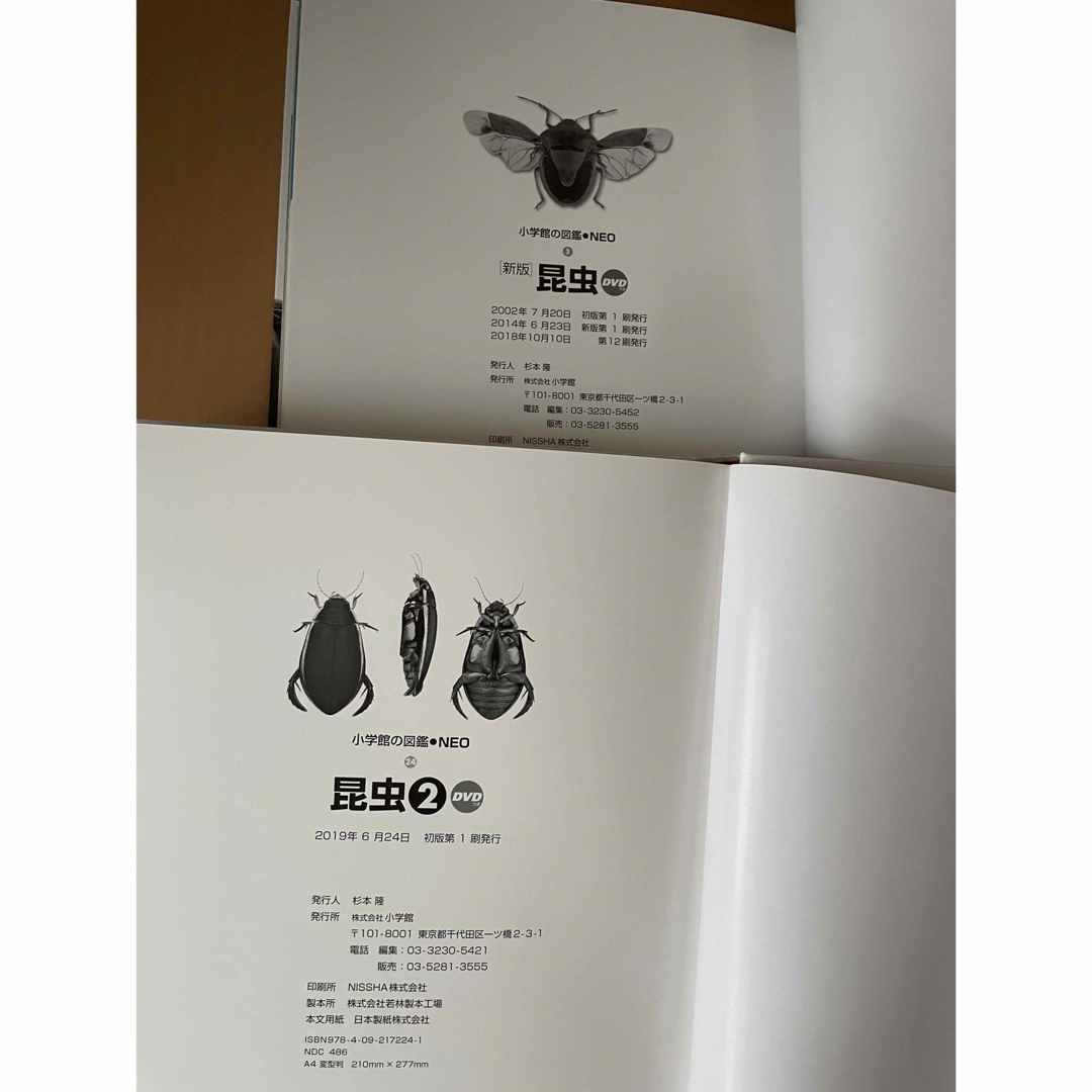 小学館の図鑑NEO 新版 図鑑 10冊セット DVDなし 小学館の図鑑NEO 新版 図鑑 10冊セット DVDなし