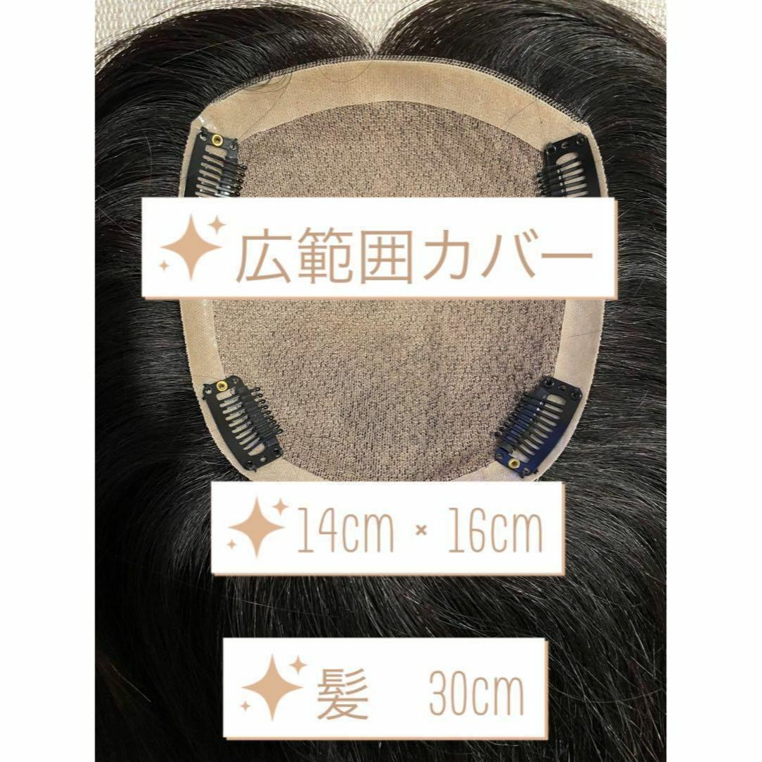 人毛100% 高級ヘアピース 広範囲カバー 14×16 つむじカバー 部分 黒