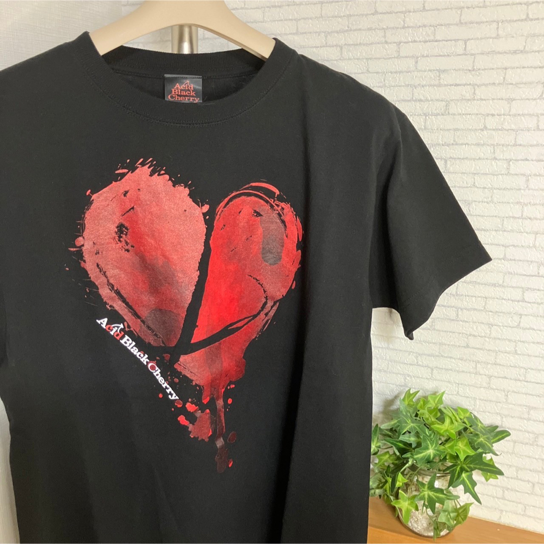 Acid Black Cherry』アシッドブラックチェリー ライブTシャツの Acid Black Cherry』アシッドブラックチェリー ライブTシャツの
