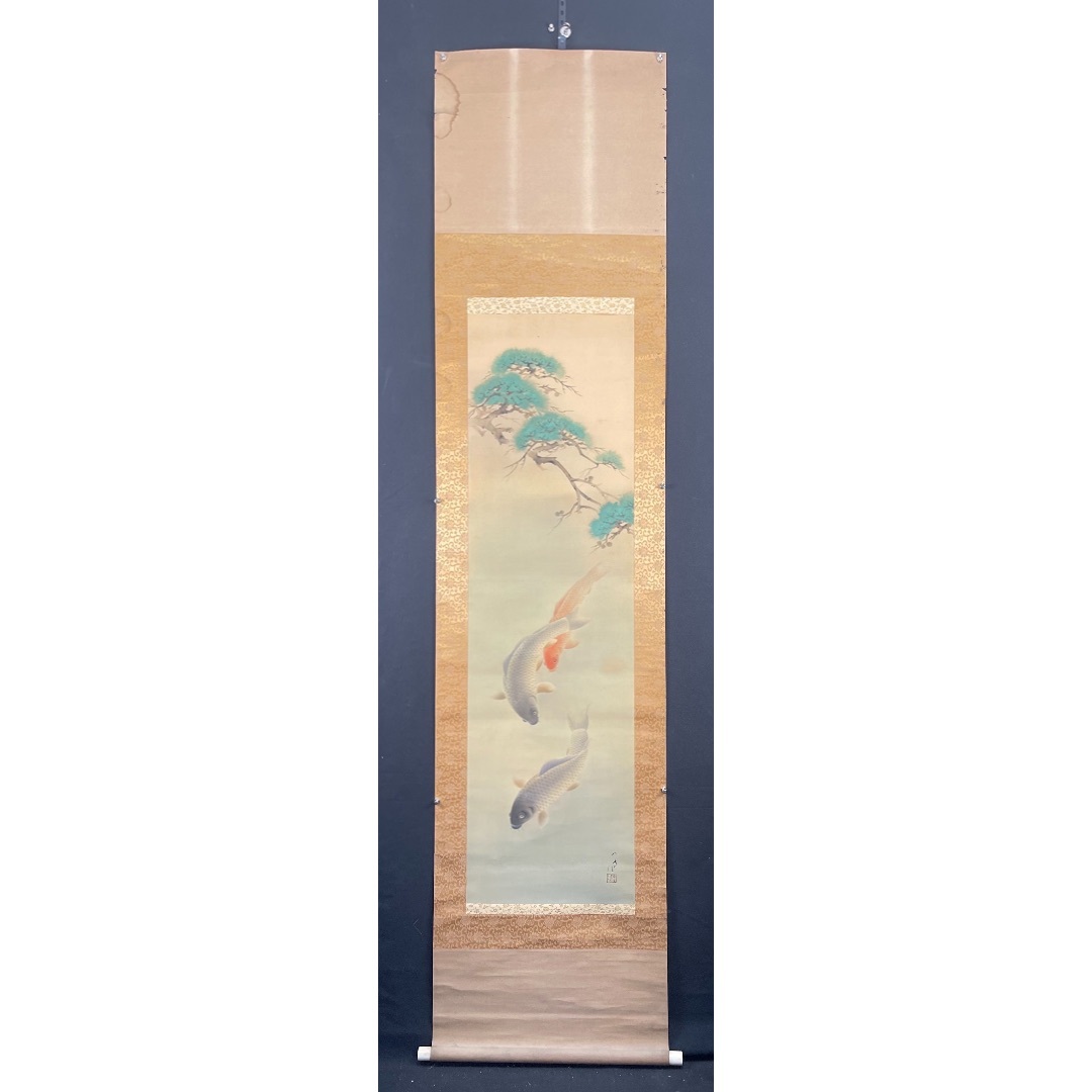 錦鯉38