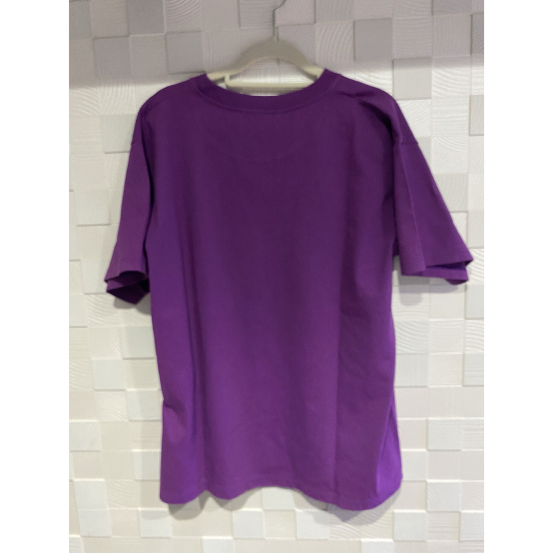 THE NORTH FACE - ノースフェイスグッチ Tシャツ スニダン購入 THE NORTH FACE - ノースフェイスグッチ Tシャツ スニダン購入