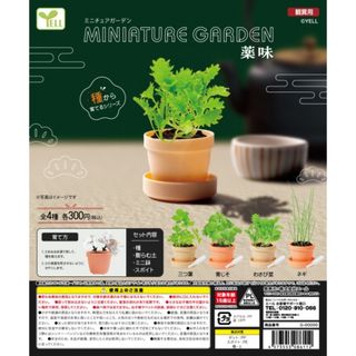 【新品/未使用】ミニチュアガーデン 薬味 ガチャ 全4種 コンプリート　(その他)