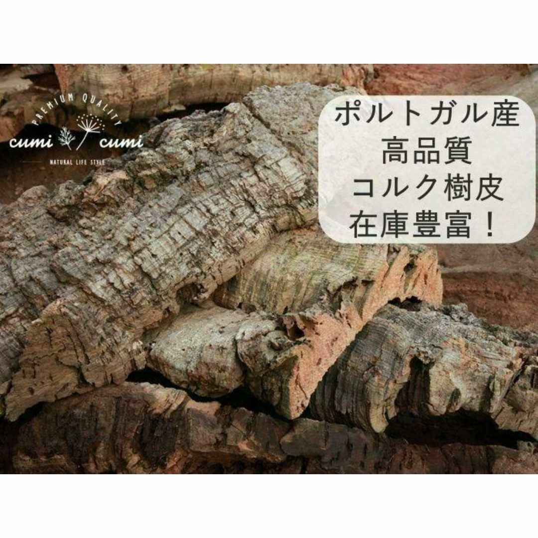 肉厚 コルク 板 (BD16) ポルトガル産 原木 バージンコルク 樹皮 肉厚 コルク 板 (BD16) ポルトガル産 原木 バージンコルク 樹皮