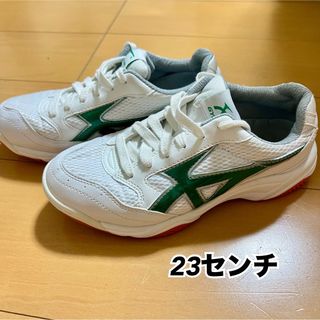 ムーンスター(MOONSTAR )の体育館シューズ(23センチ)(スニーカー)