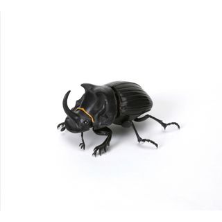 バンダイ(BANDAI)の新品 いきもの大図鑑 かぶとむし05 ダイコクコガネ ガシャポン(キャラクターグッズ)