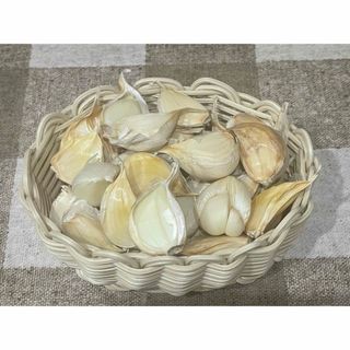 令和6年度田子町産乾燥ニンニクバラ訳あり1.3kg(野菜)