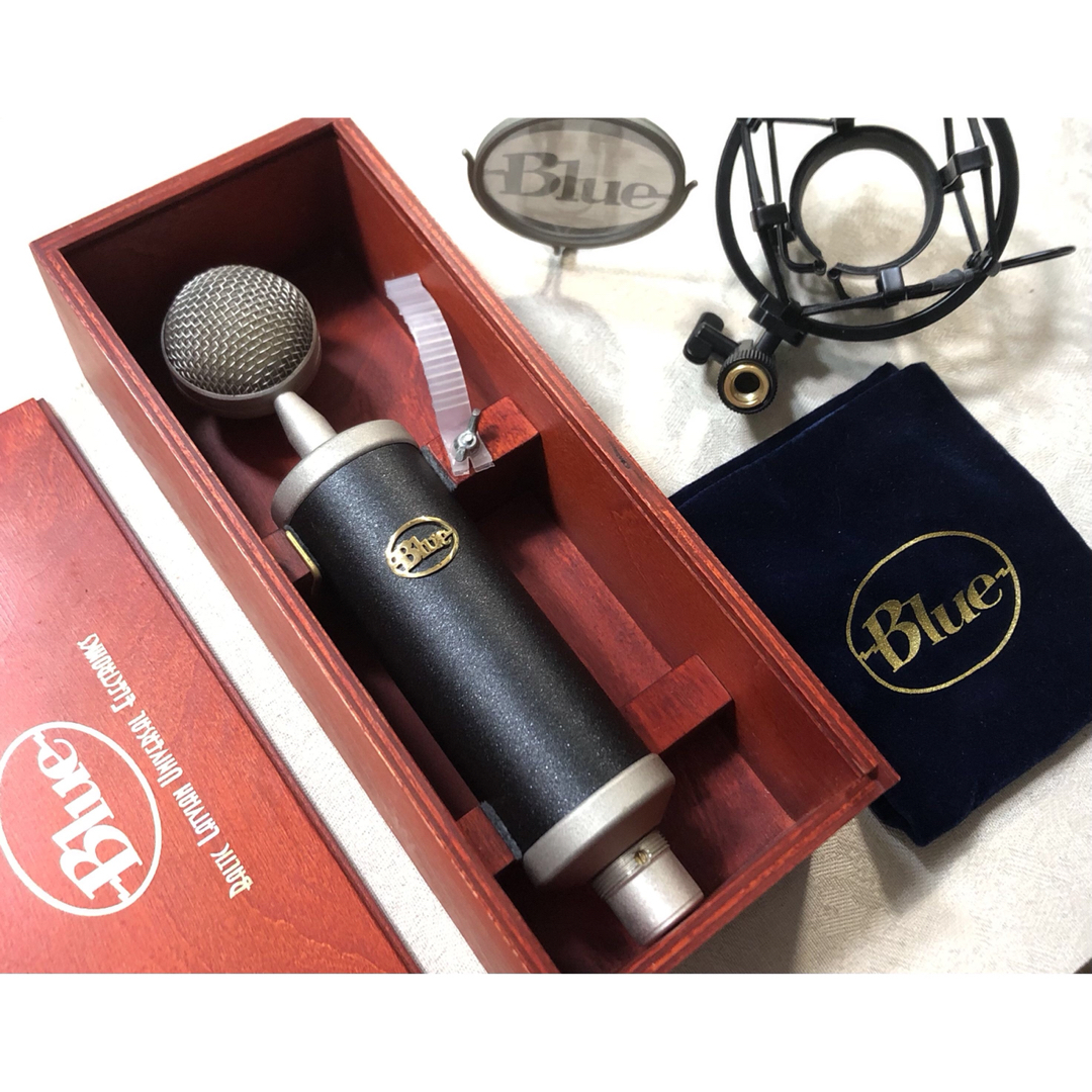 Blue Kiwi 承る コンデンサーマイク Blue Kiwi 承る コンデンサーマイク