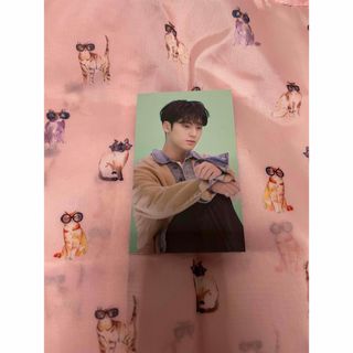 SEVENTEEN あいのちから　ミンギュトレカ