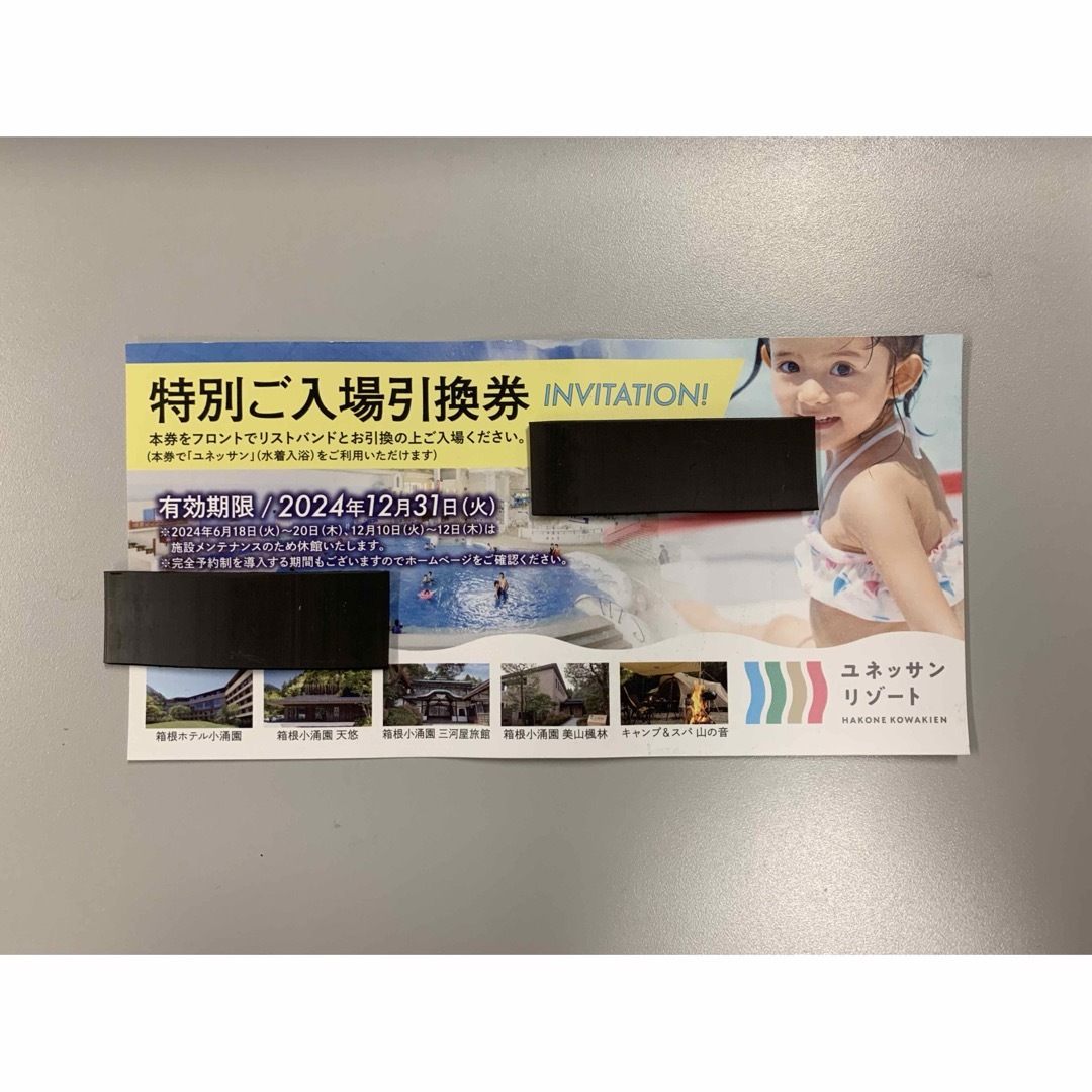 ユネッサン 特別 入場券 チケットの優待券/割引券(その他)の商品写真
