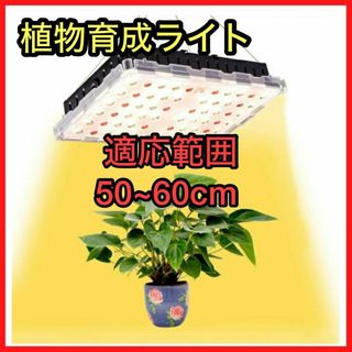 LED植物育成ライト②植物栽培ライト フルスペクトル4000K 赤色光 観葉植物(その他)