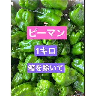 ピーマン　1キロ　野菜(野菜)