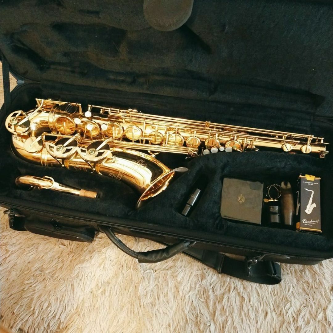 希少品 SYLPHIDE シルフィード T-2000 テナーサックス 島村楽器 希少品 SYLPHIDE シルフィード T-2000 テナーサックス 島村楽器