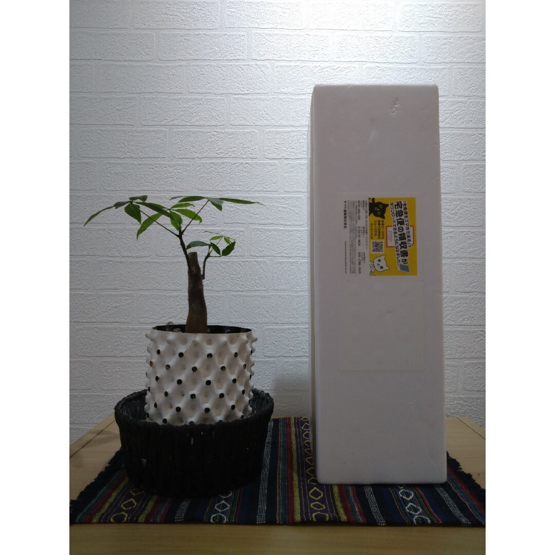 森伊蔵 7月当選分 1800ml 未開封 2本セット!! 森伊蔵 7月当選分 1800ml 未開封 2本セット!!