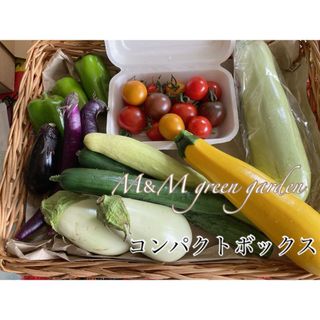 北海道産 季節の野菜セット詰め合わせ(野菜)
