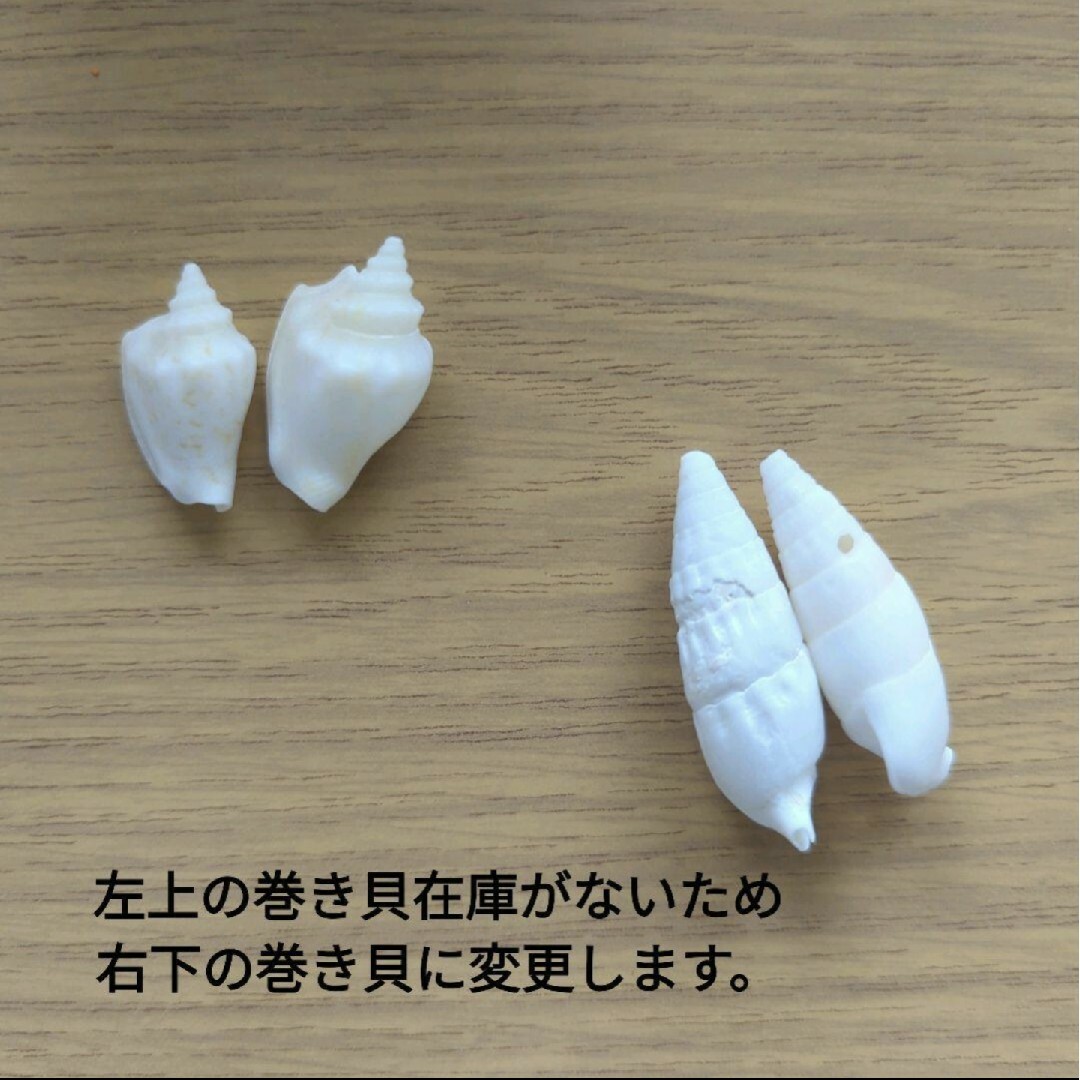 貝殻セット シェルパーツ 夏休み ハワイアン 工作 ハンドメイド 貝殻セット シェルパーツ 夏休み ハワイアン 工作 ハンドメイド