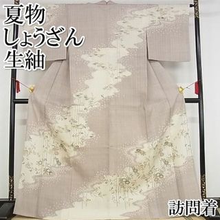 期間限定セール30％off■極上　夏物　染織の名門　しょうざん 　生紬　訪問着　枝花文　ますいわ屋扱い　正絹　逸品　KAAA1124kk4(着物)