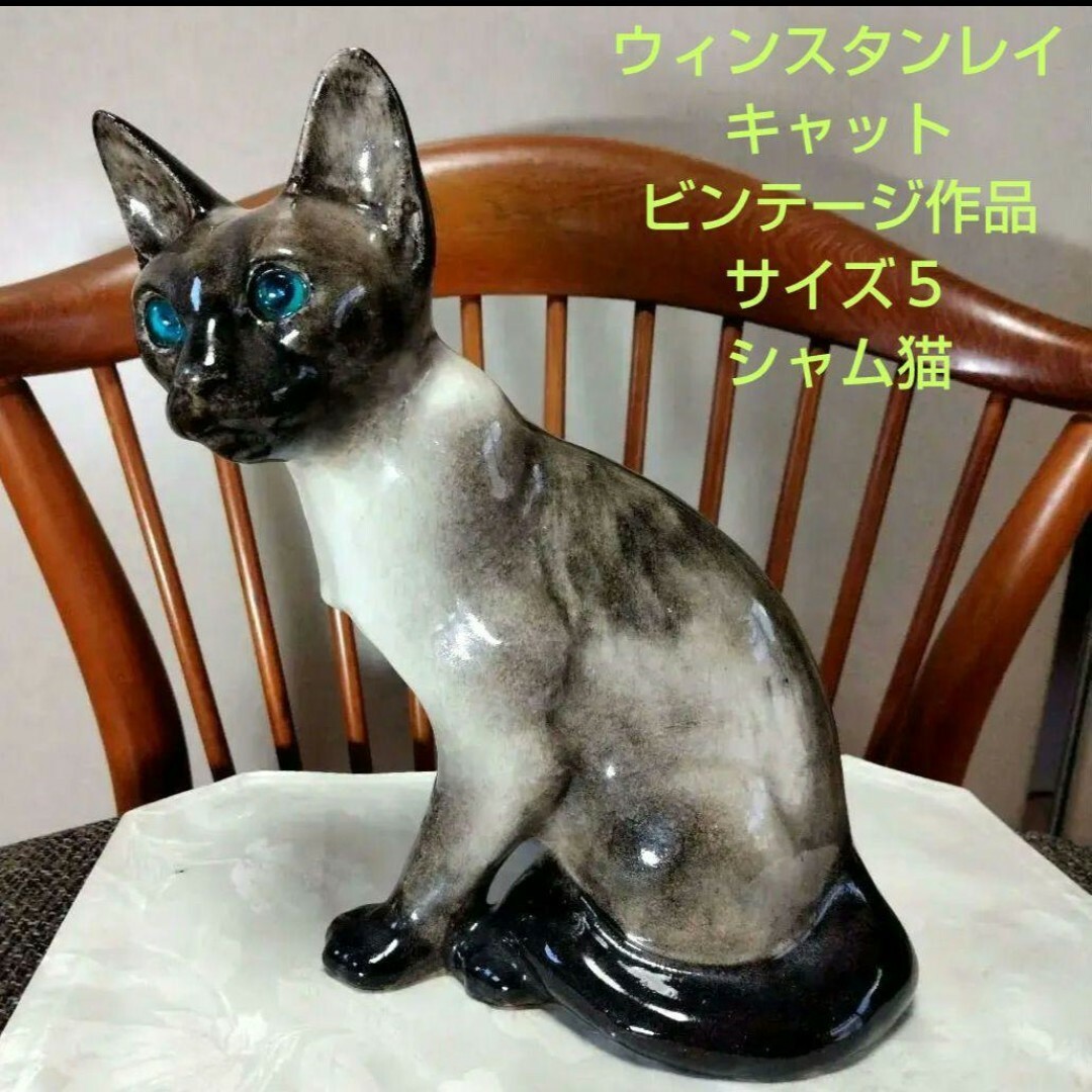 ウィンスタンレイキャット(ケンジントンキャット)33cm、サイズ5 ウィンスタンレイキャット(ケンジントンキャット)33cm、サイズ5