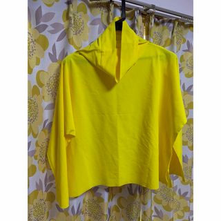 イッセイミヤケ(ISSEY MIYAKE)のイッセイミヤケ　ビタミンカラー　カットソー(カットソー(長袖/七分))