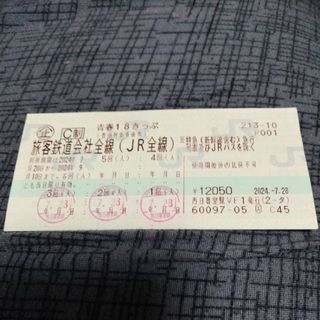 匿名配送 2回分 青春18きっぷ 返却不要(鉄道乗車券)