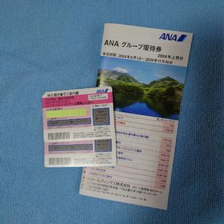 ANA株主優待券２枚＋ANAグループ優待券１１枚(その他)