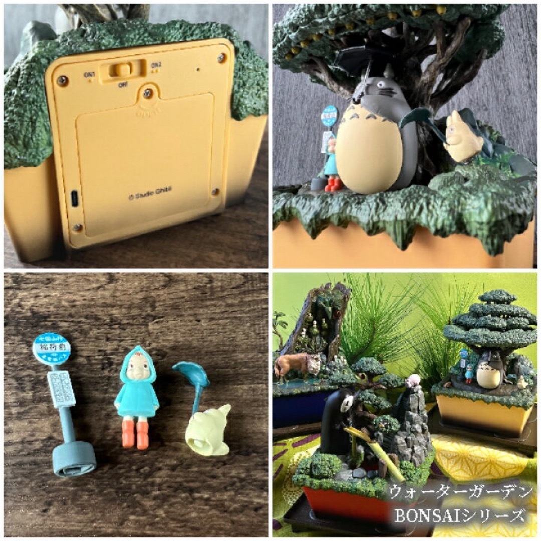 となりのトトロ ウォーターガーデン BONSAI 笠宿 | どんぐり